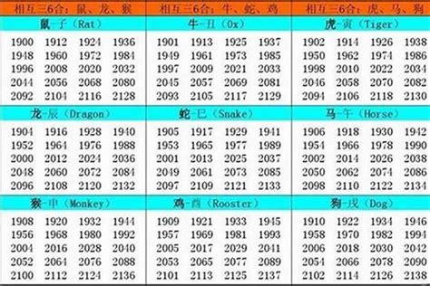 2002年 生肖|2002年属什么命 2002年属什么生肖和什么最配